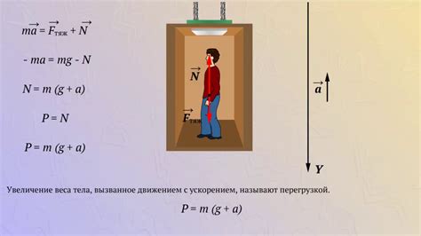 Вес направлен вверх: причины и механизмы