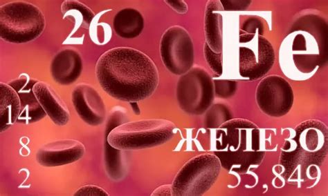 Взаимосвязь между уровнем цинка и железа в крови
