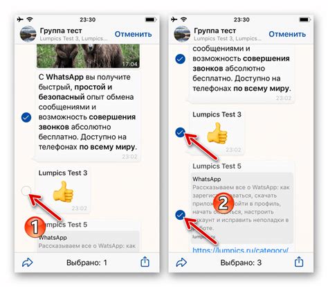 Видимость пересылки сообщений в мессенджерах