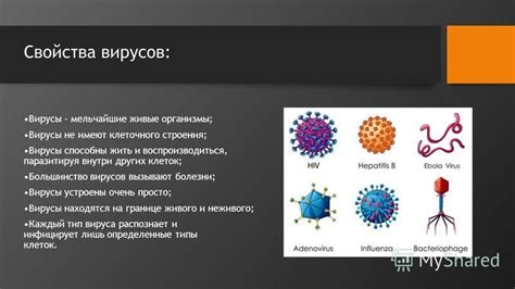 Вирусы - не живые организмы, но имеют генетический материал