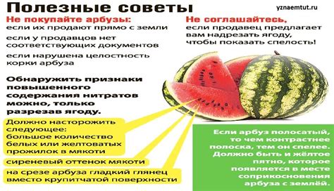 Витаминные свойства арбуза с желтыми прожилками