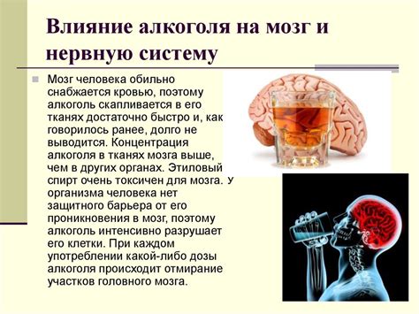Влияние алкоголя на рассудок и восприятие окружающей обстановки
