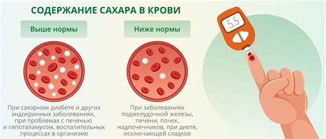 Влияние брусники на уровень сахара в крови