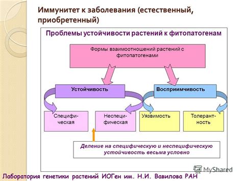 Влияние внешних факторов на возникновение витилиго