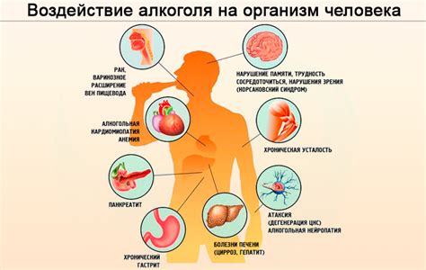 Влияние времени употребления на организм