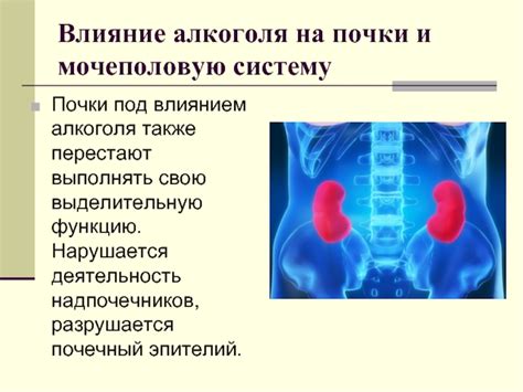 Влияние дефицита жидкости на мочеполовую систему