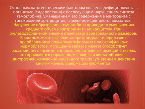 Влияние железодефицитной анемии на организм