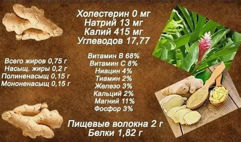 Влияние имбиря на почки: разбор мифов и фактов