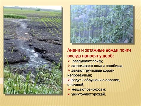 Влияние климата и сезона на заражение