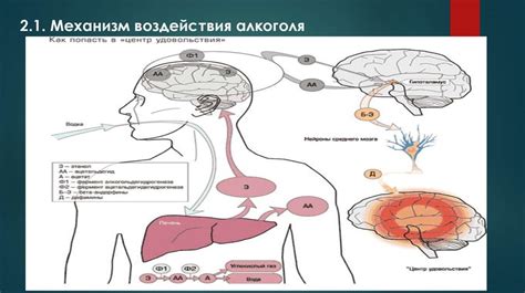 Влияние комбинации на организм: