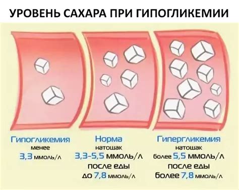 Влияние кукурузного масла на уровень сахара в крови