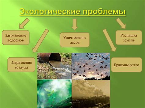 Влияние культурных факторов на природу человека