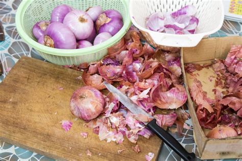 Влияние луковой шелухи на грядки