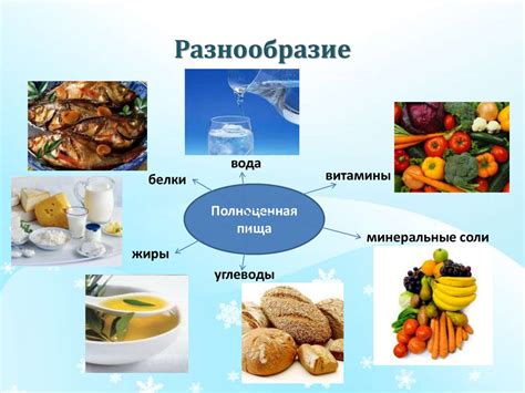 Влияние минерального элемента на вкус и запах пищи