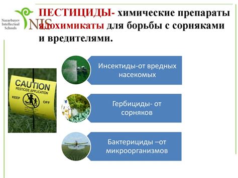 Влияние на жизнь потребителей и окружающую среду