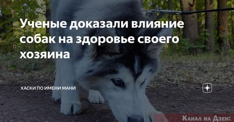 Влияние на здоровье хозяина