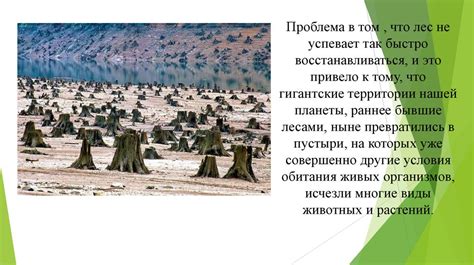 Влияние на леса и растительный мир