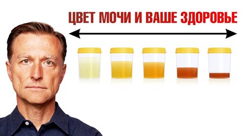Влияние на цвет мочи