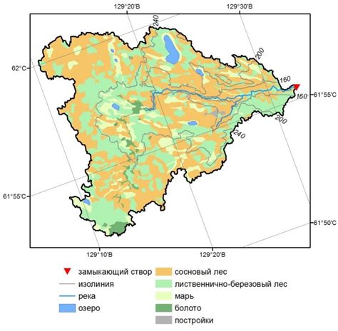 Влияние папоротников на водный баланс