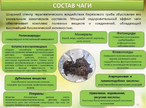 Влияние полезных свойств на организм