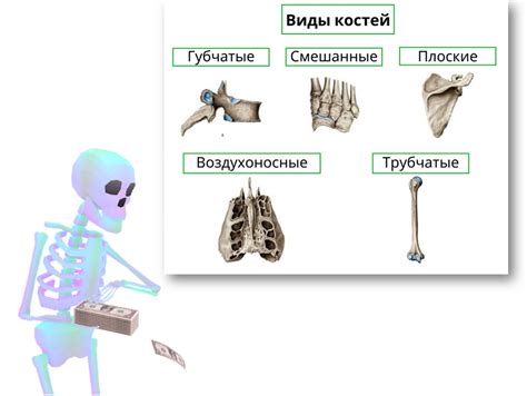 Влияние похудения на сложную структуру костей