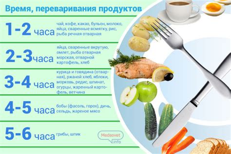 Влияние сна на процессы переваривания пищи