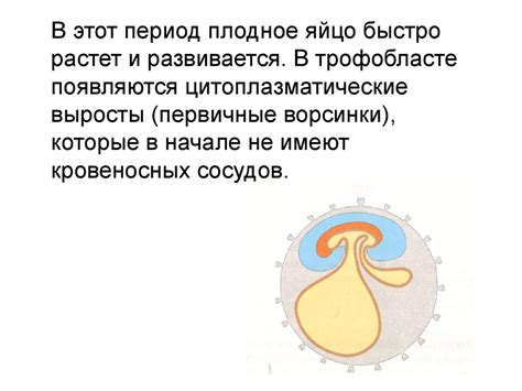 Влияние стеснения плода на его развитие
