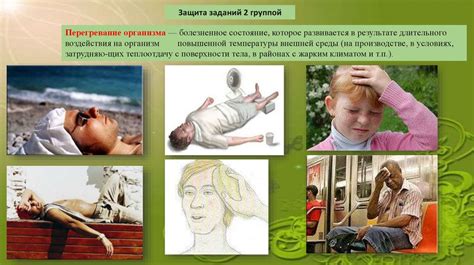 Влияние температуры на организм