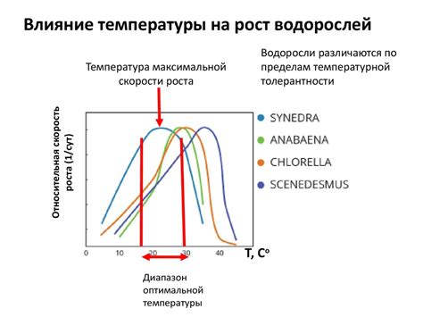 Влияние температуры на прием йогурта детьми