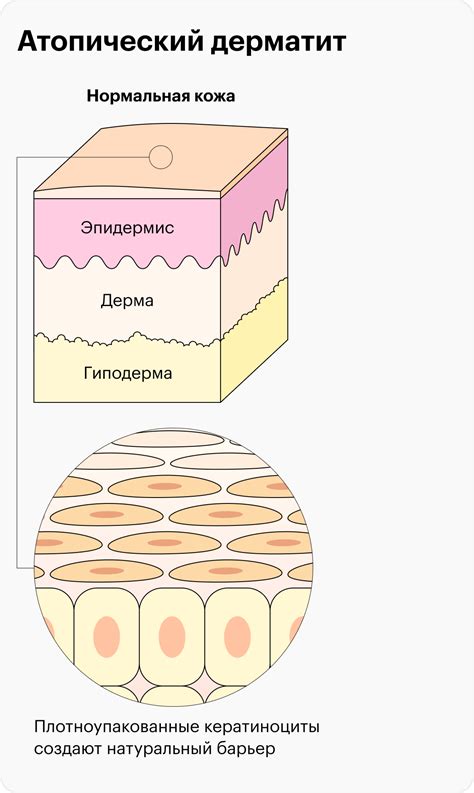 Влияние частоты мытья на волосы