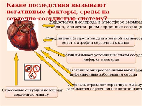 Влияние экстрасистолии на сердечную систему и последствия