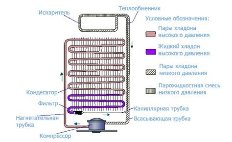 Влияние электрической плиты на работу компрессора холодильника