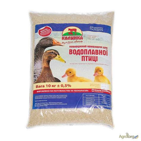 Вода для утят: ночное питание