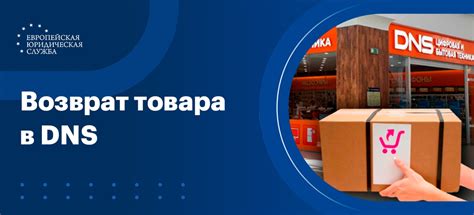 Возврат товара в DNS: подробный гайд