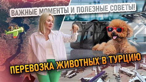 Возврат товаров: важные моменты и полезные советы