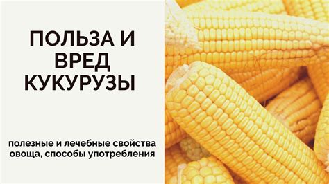 Возможная польза и полезные свойства
