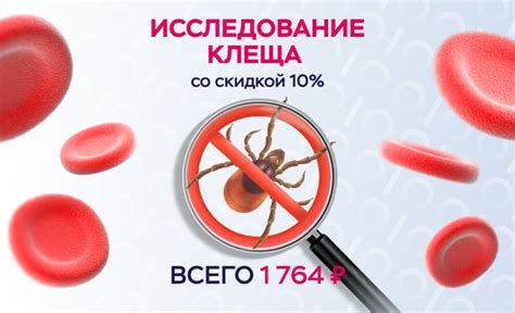 Возможность заражения клещевыми болезнями через руки