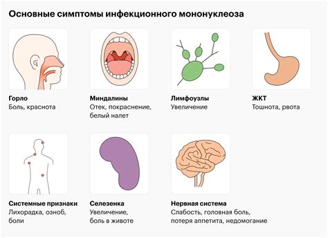 Возможность развития мононуклеоза у взрослых без повышения температуры