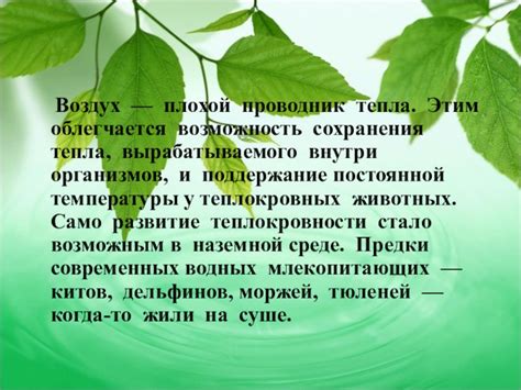 Возможность сохранения тепла