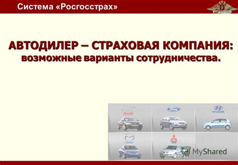 Возможные варианты сотрудничества