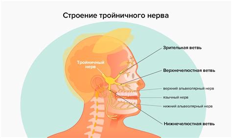 Возможные риски грева тройничного нерва