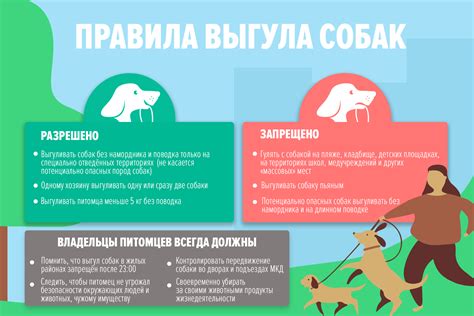 Возможны трудности при выгуле и отсутствии собственного двора