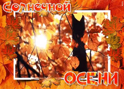 Восхитительная погода осени