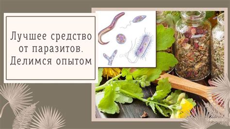 Вредность паразитов для организма