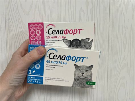 Вред глистов для здоровья кошки