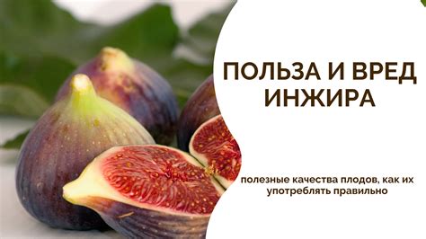 Вред для организма при употреблении пораженных плодов