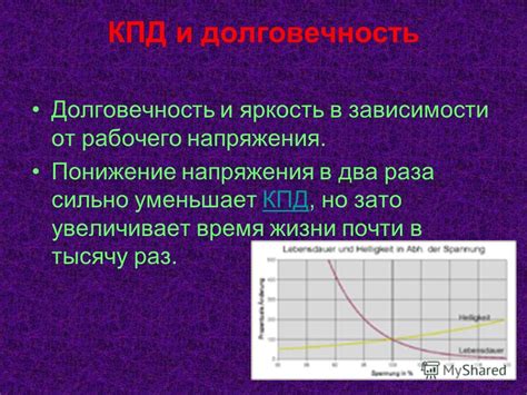 Время и долговечность