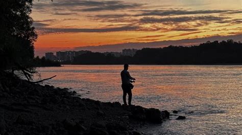 Время и место охоты ночью