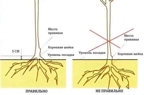 Выбор правильной схемы посадки