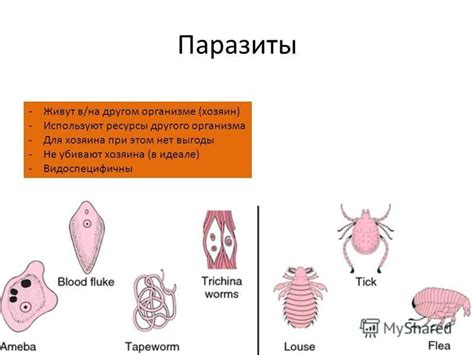 Выгоды для организма